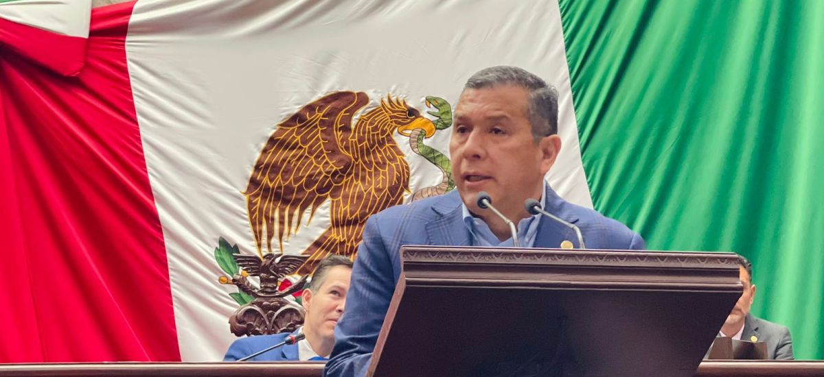 Luciernaga noticias | Barragán plantea ref...