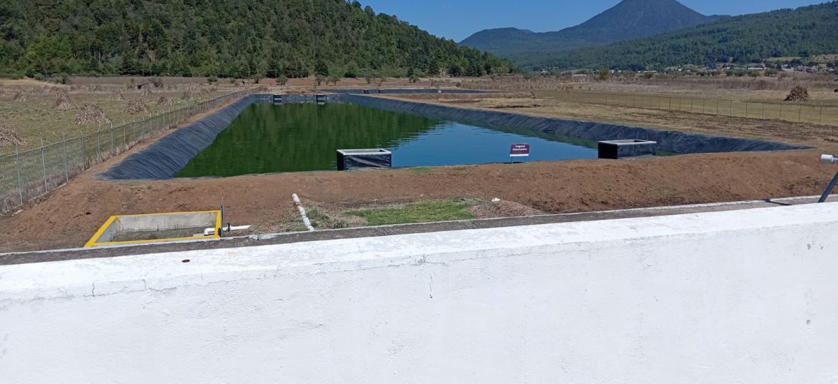 Luciernaga noticias | Ceac brinda asesoram...