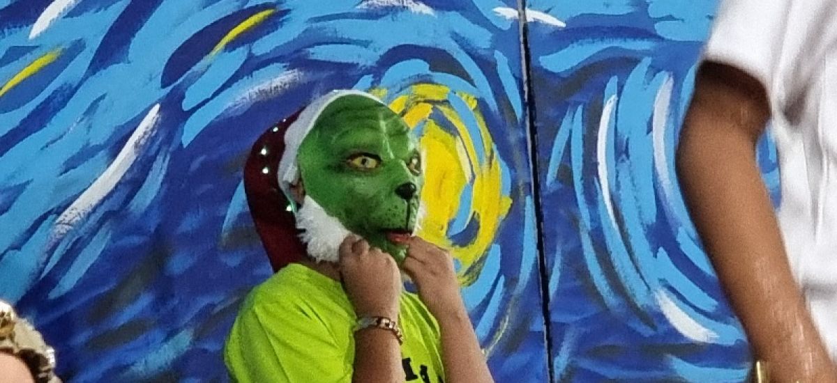 Luciernaga noticias | Gran Festival Cultur...