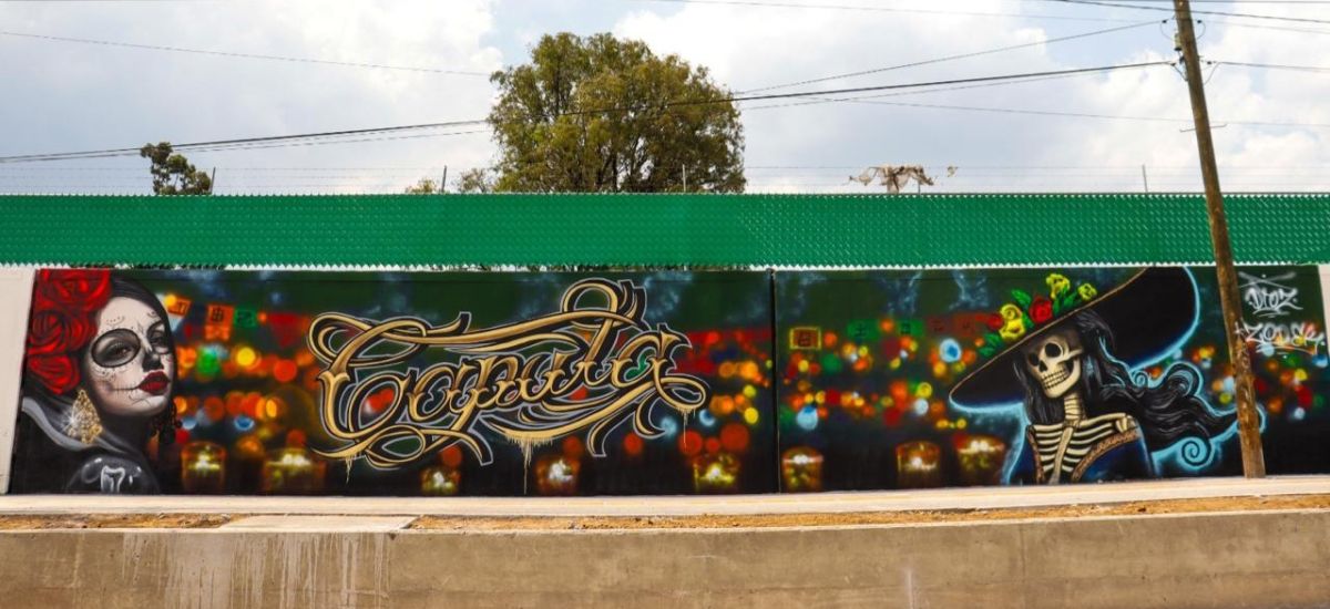 Luciernaga noticias | Colores que transfor...
