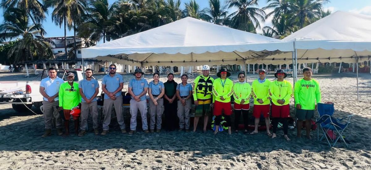 Luciernaga noticias | En marcha operativo...