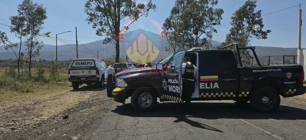 Luciernaga noticias | V*lc4dura automovilí...