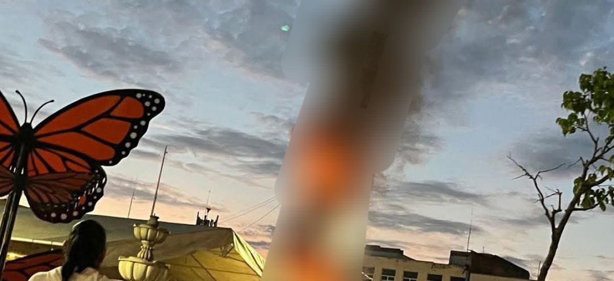 Luciernaga noticias | Queman árbol navideñ...