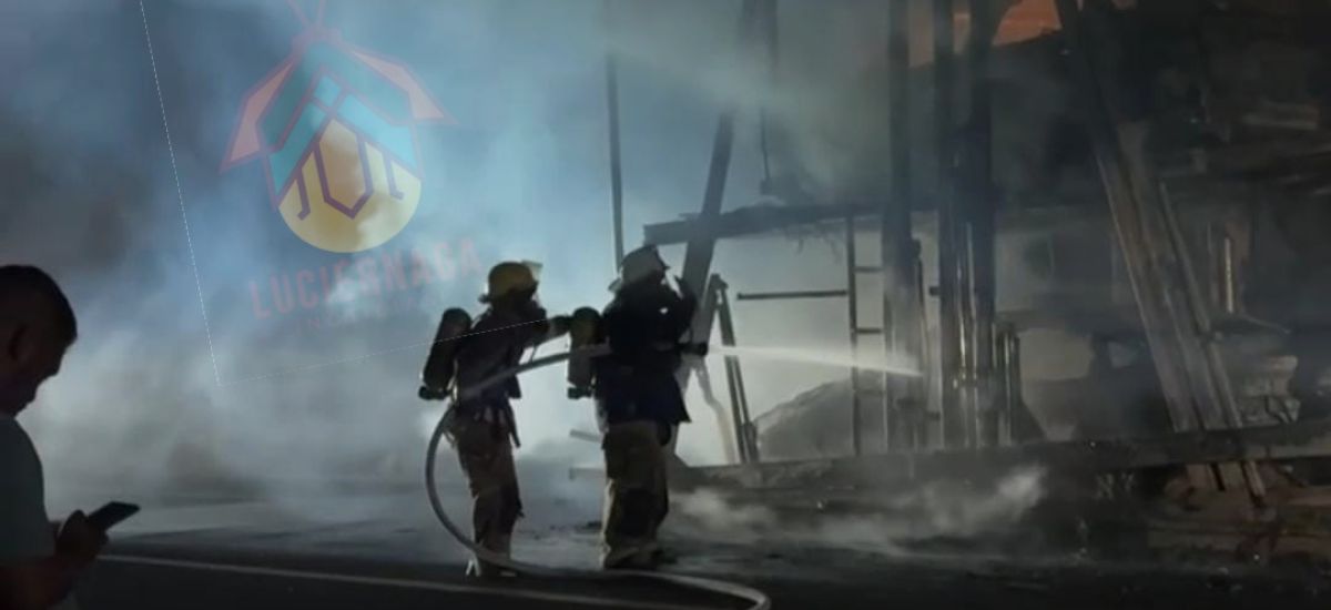 Luciernaga noticias | Fuego consume transp...