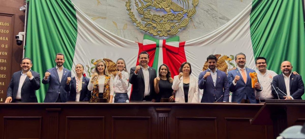 Luciernaga noticias | Diputados de Movimie...