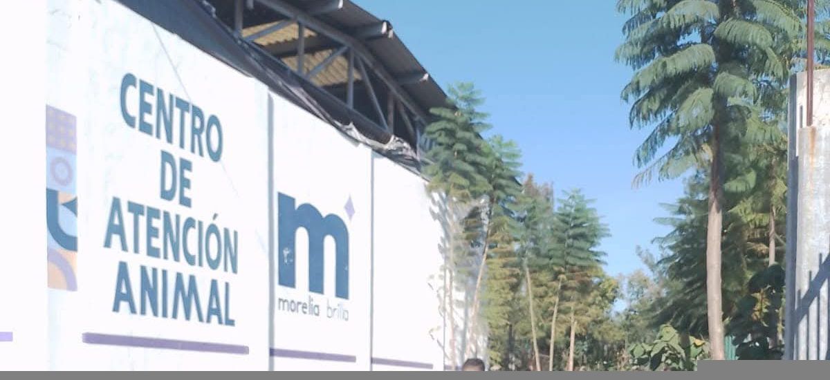 Luciernaga noticias | Día de Asueto | Inst...