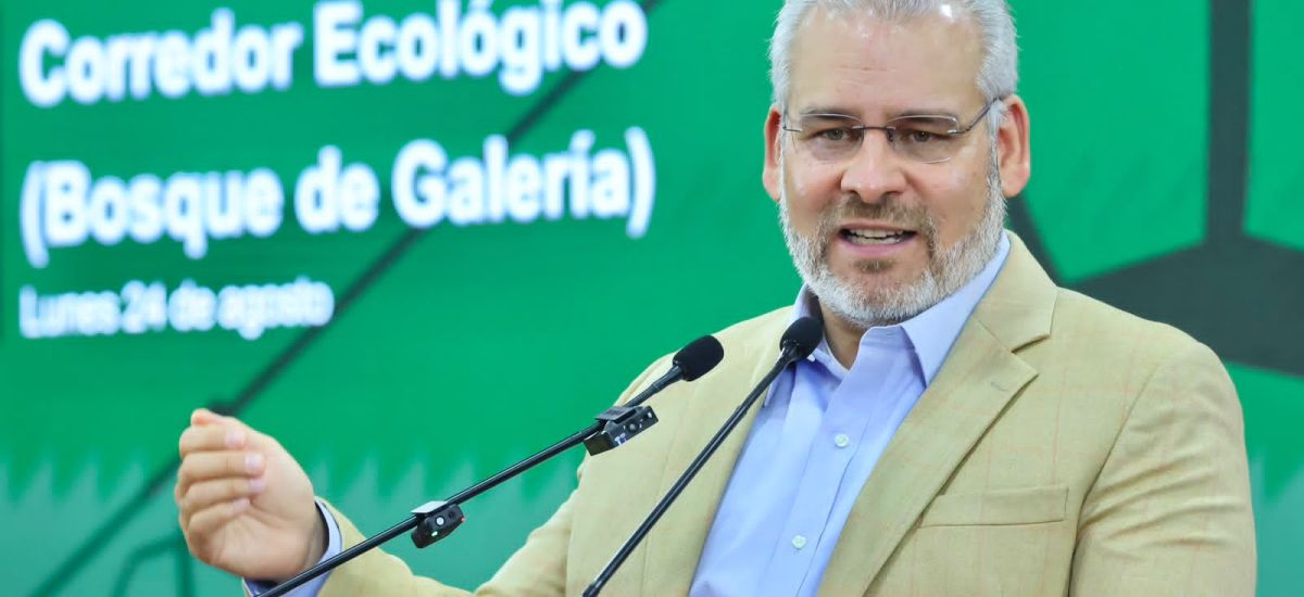 Luciernaga noticias | Arbolado de Tres Pue...