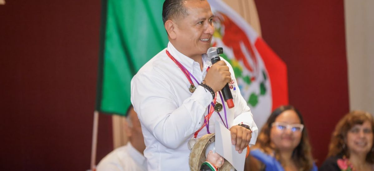 Luciernaga noticias | Coordinación de Shei...