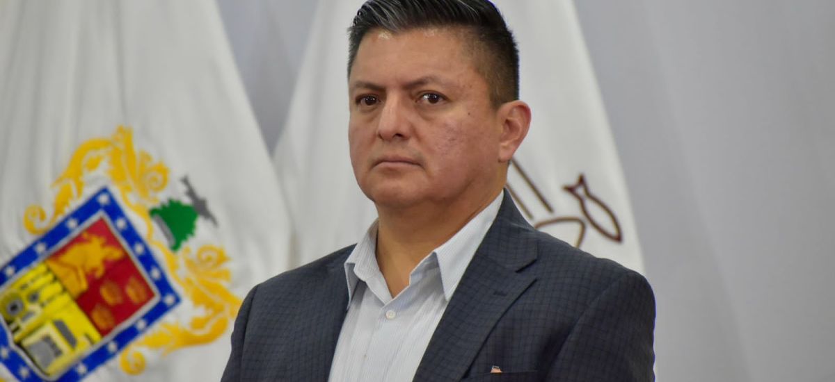 Luciernaga noticias | Más de 193 mil micho...
