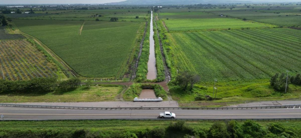 Luciernaga noticias | Campo michoacano, pr...