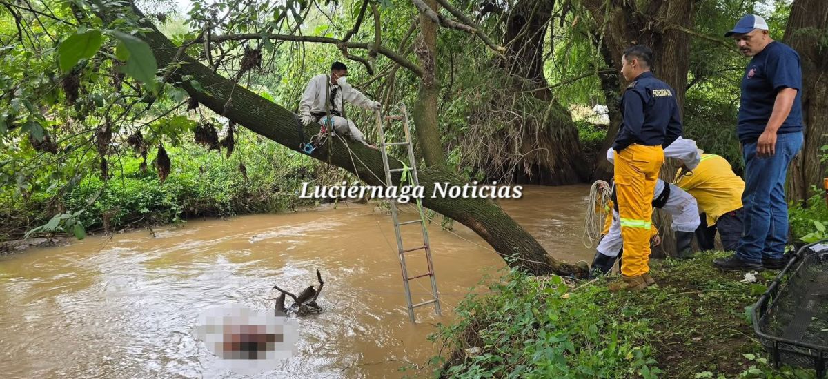 Luciernaga noticias | Tras búsqueda hallan...