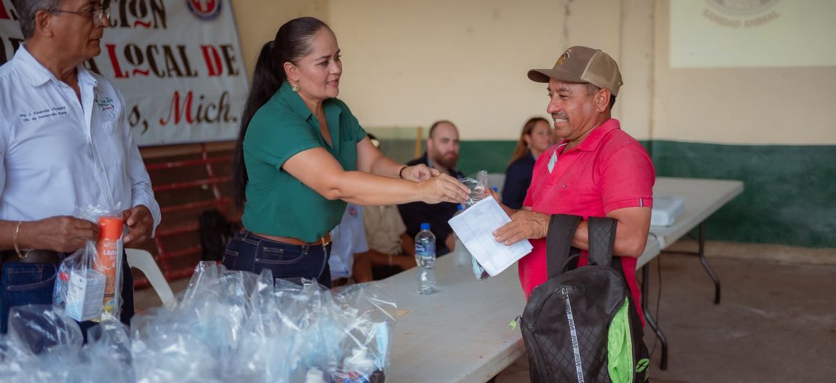 Luciernaga noticias | San Lucas impulsa la...