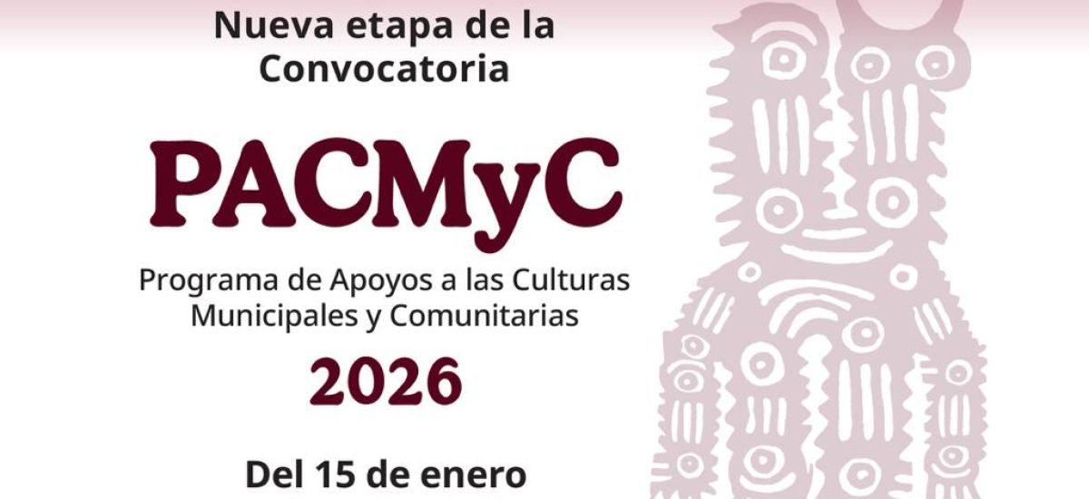 Luciernaga noticias | ¿Tienes un proyecto...