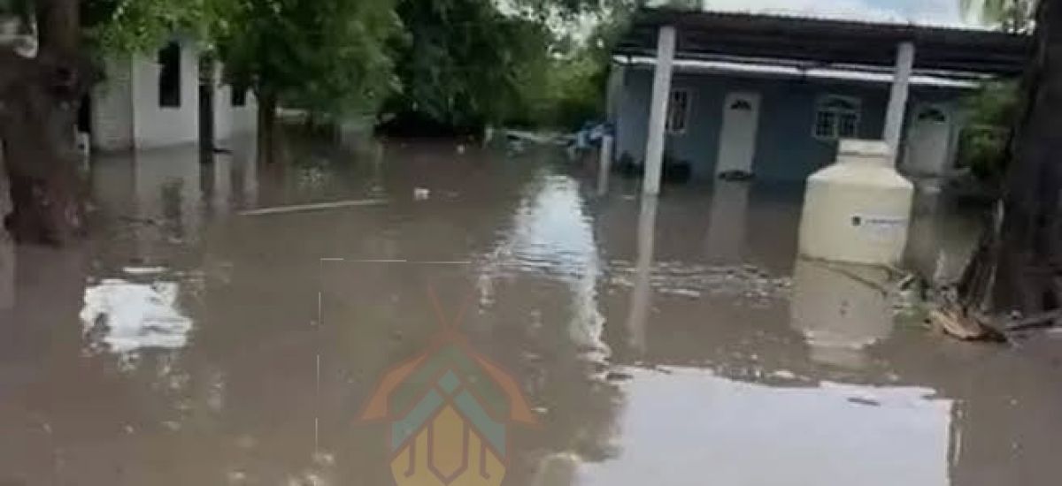 Luciernaga noticias | Crónica| Lluvias por...