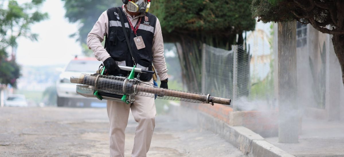 Luciernaga noticias | SSM llama a no bajar...