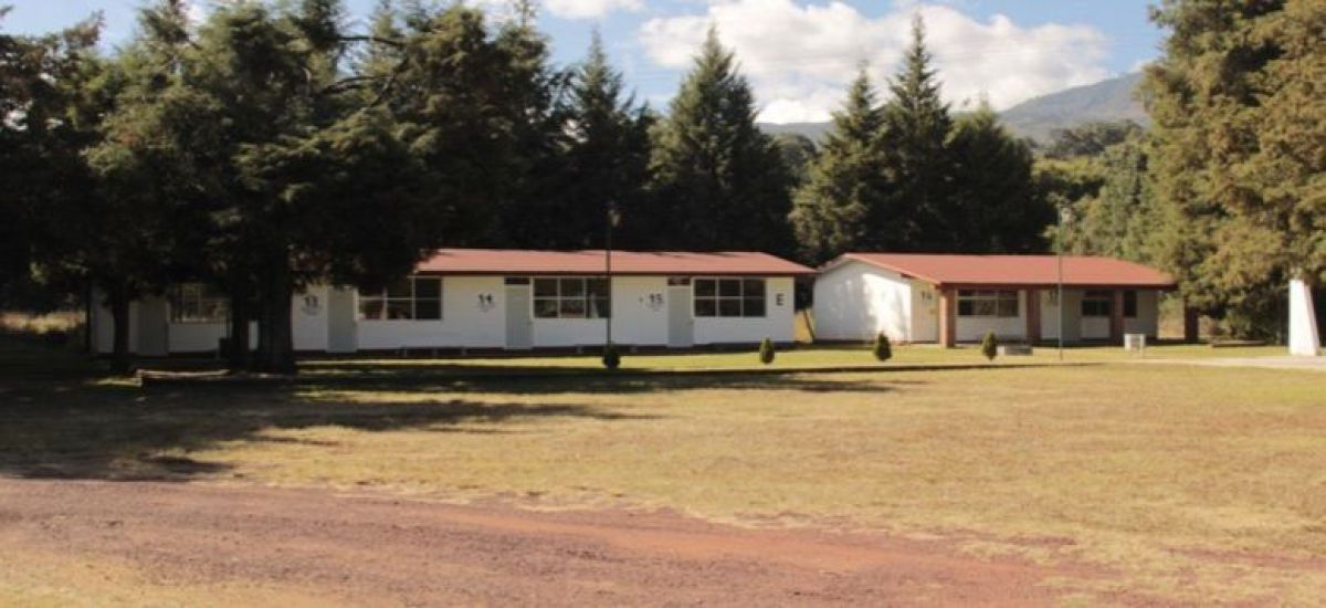 Luciernaga noticias | Mañana inicia proces...