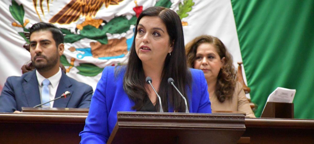 Luciernaga noticias | Llama diputada Tere...