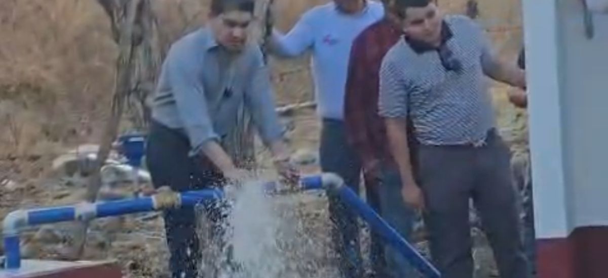 Luciernaga noticias | Por fin La Cruciller...