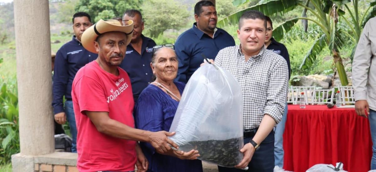 Luciernaga noticias | Mantiene cercanía Vi...