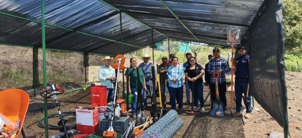 Luciernaga noticias | Sader impulsa vivero...
