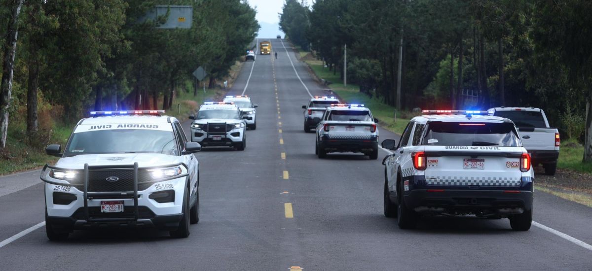 Luciernaga noticias | Tecnología de vangua...