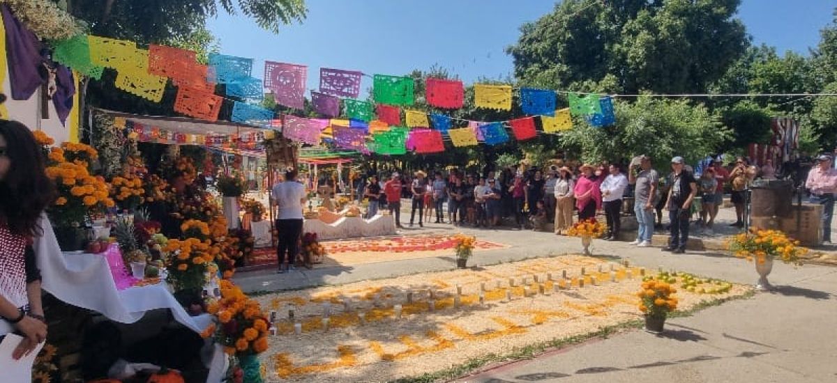 Luciernaga noticias | San Lucas fortalece...