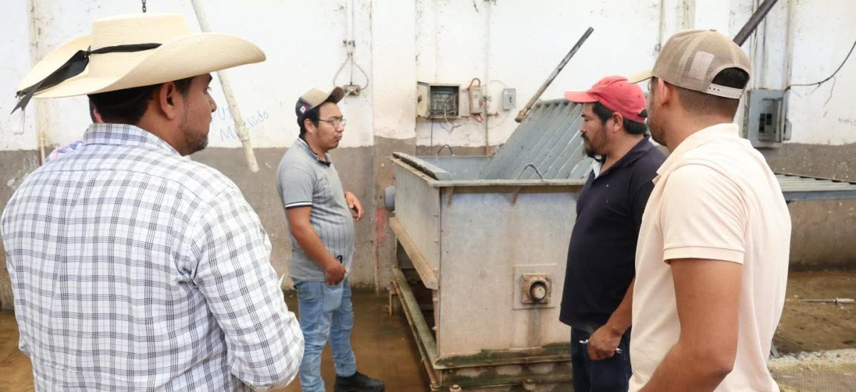 Luciernaga noticias | Fernando Ocampo supe...
