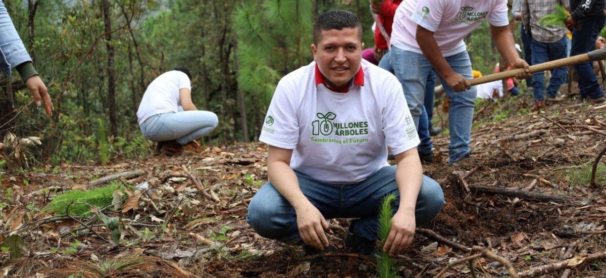 Luciernaga noticias | Fomentan el cuidado...