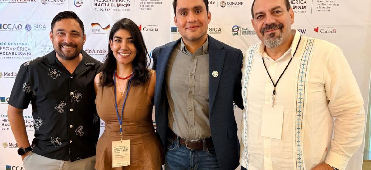 Luciernaga noticias | Secma busca transfor...
