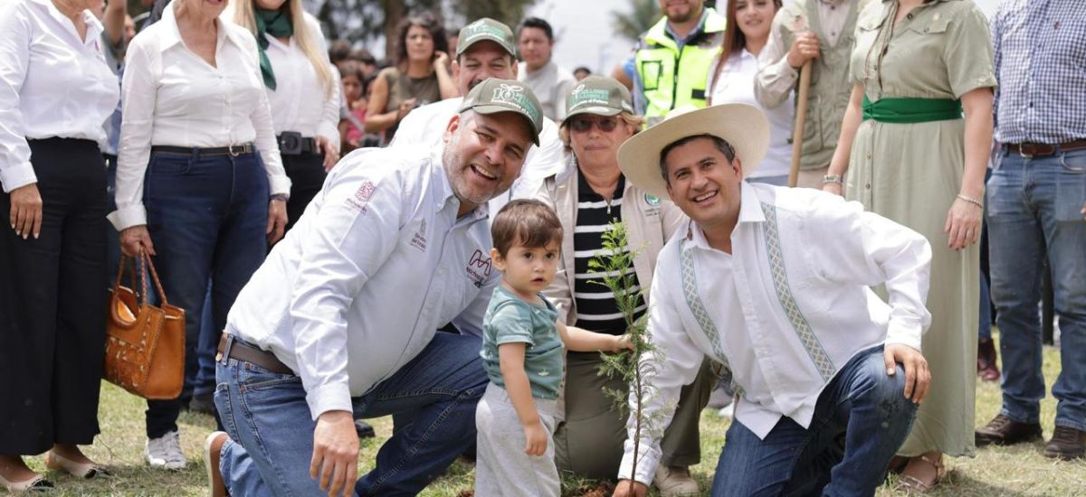 Luciernaga noticias | Bedolla lanza refore...