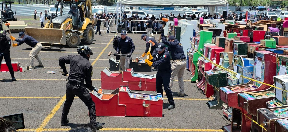 Luciernaga noticias | Destruyen 721 tragam...