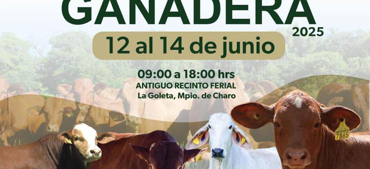Luciernaga noticias | Michoacán anuncia su...