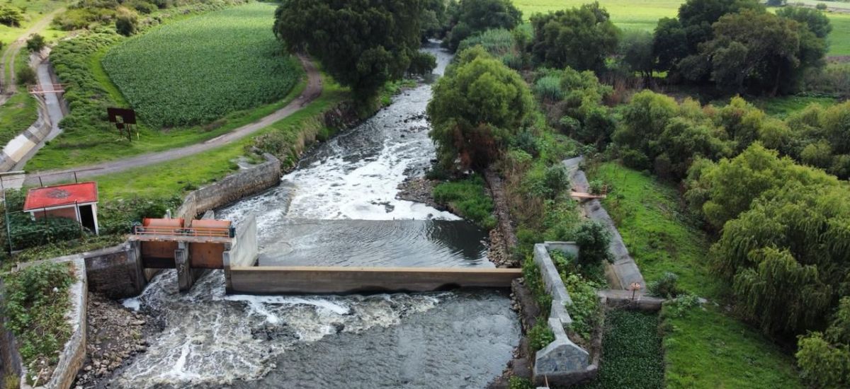 Luciernaga noticias | Tecnificación del Di...