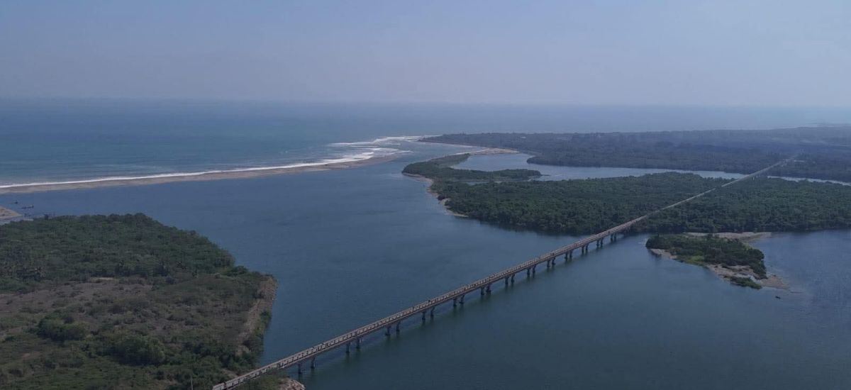 Luciernaga noticias | Loc4liz4n s!n v!da a...