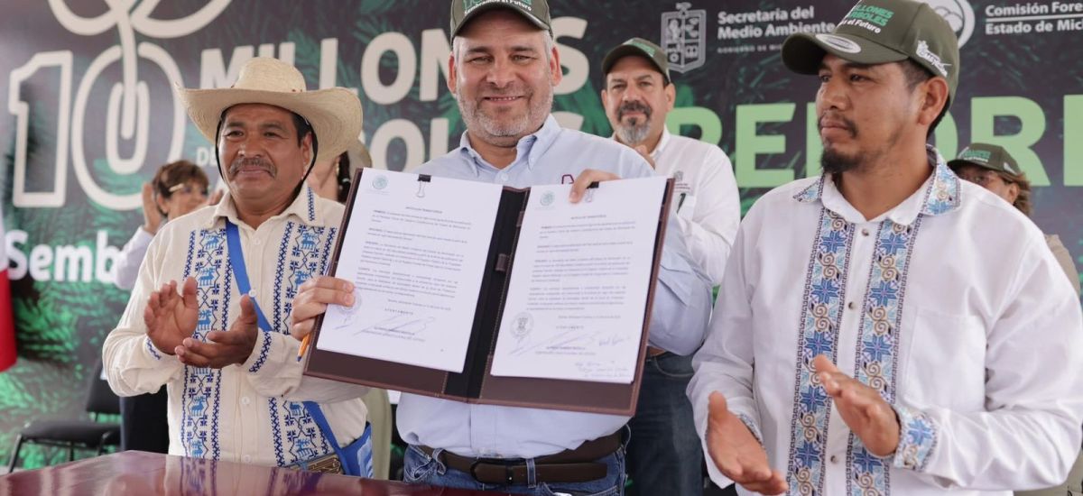 Luciernaga noticias | Michoacán logra réco...