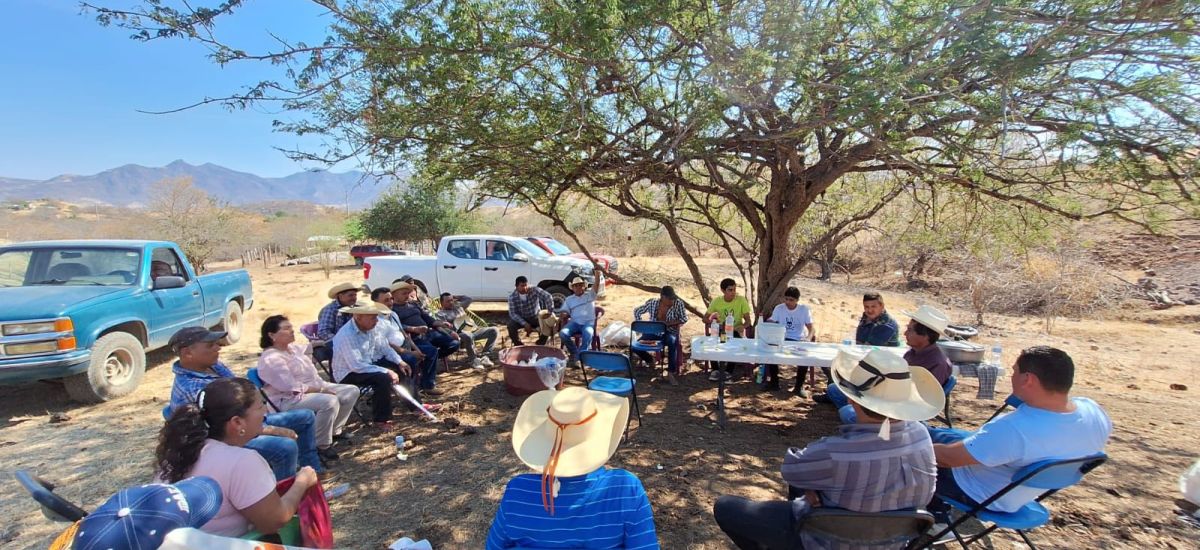 Luciernaga noticias | Carácuaro fortalece...