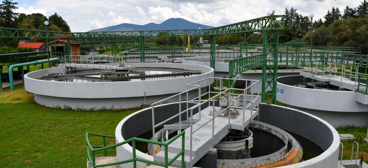 Luciernaga noticias | Rehabilitación de pl...