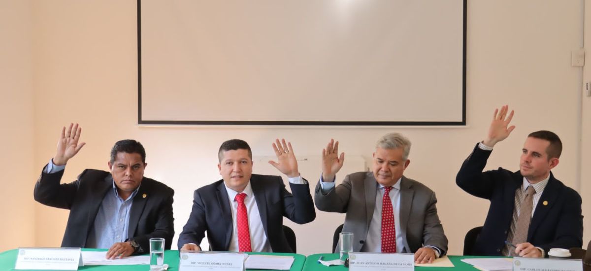 Luciernaga noticias | Avanzan acciones par...