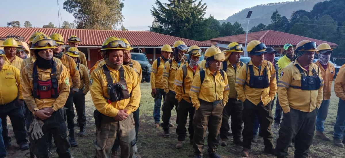 Luciernaga noticias | Liquidados 3 incendi...