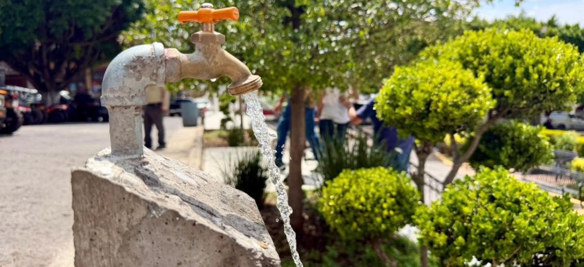 Luciernaga noticias | Con inversión tripar...