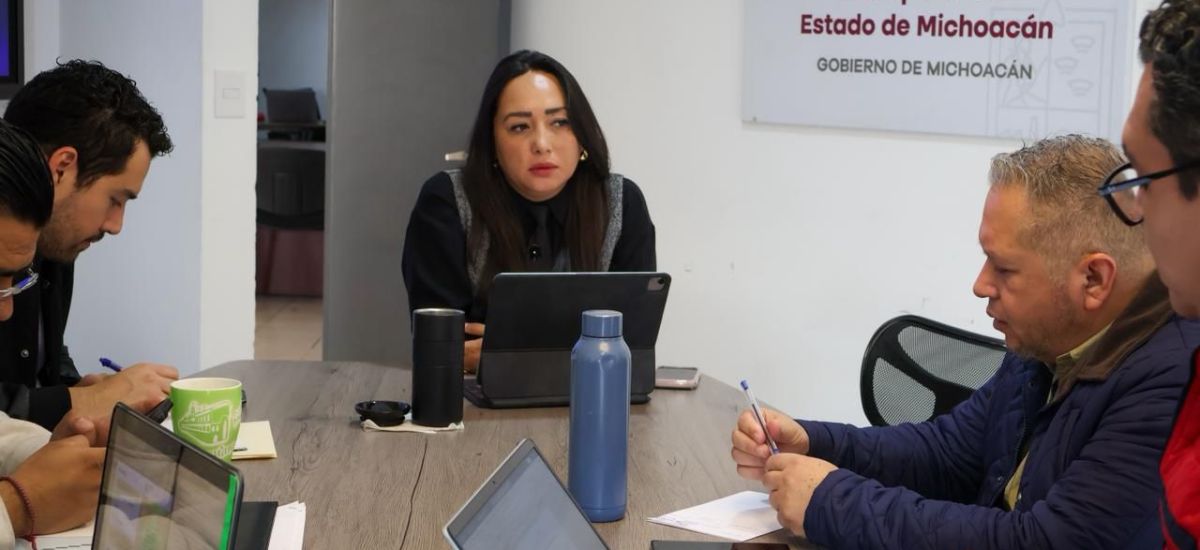 Luciernaga noticias | Servicio de transpor...