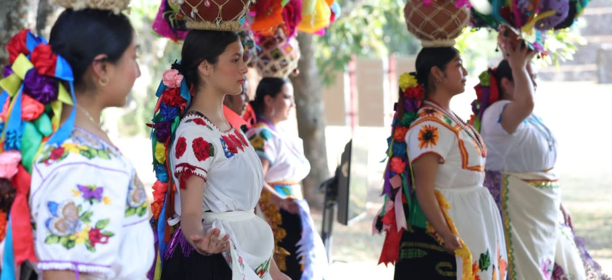 Luciernaga noticias | Más de 2 mil asisten...