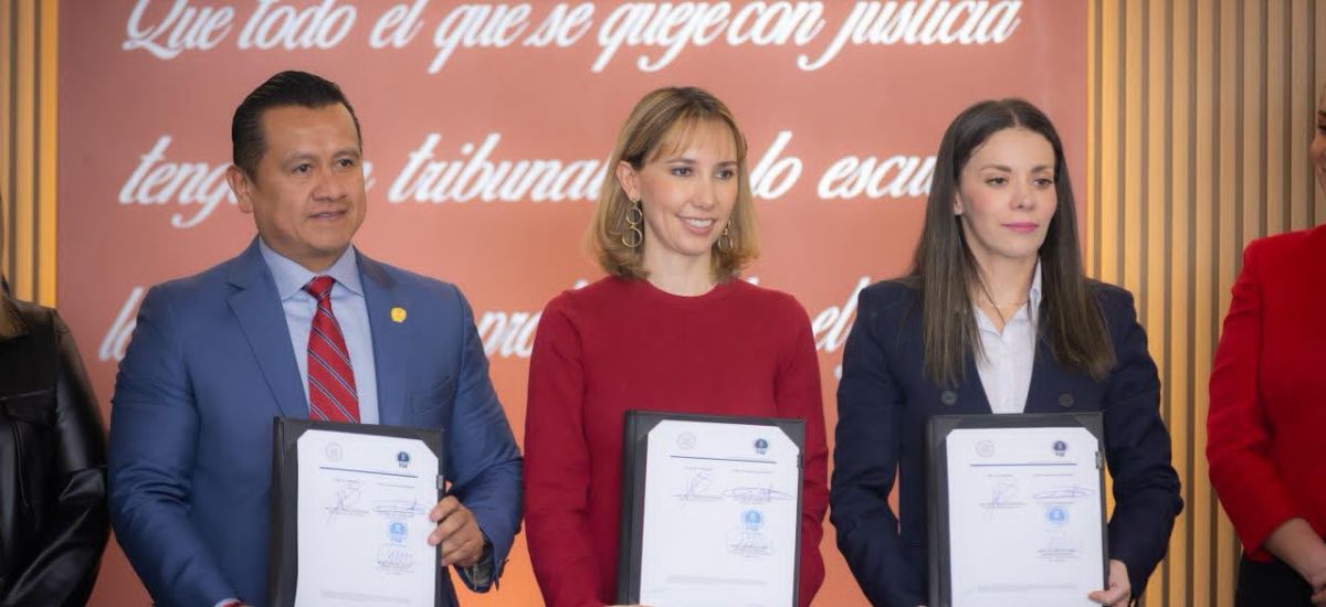 Luciernaga noticias | FGE: 8 detenidos en...