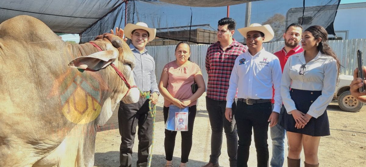 Luciernaga noticias | Huetamo fortalece la...