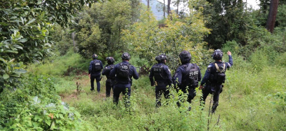 Luciernaga noticias | Guardia Civil detien...