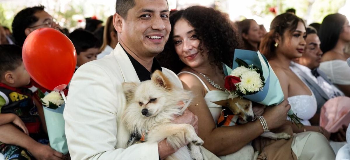 Luciernaga noticias | ¡Récord de bodas en...