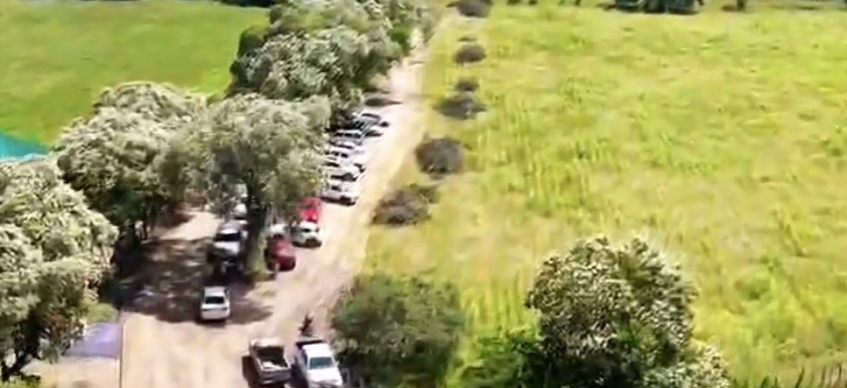 Luciernaga noticias | El Carmen abre camin...