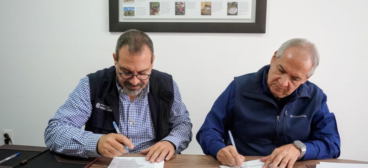 Luciernaga noticias | Fortalecen acciones...