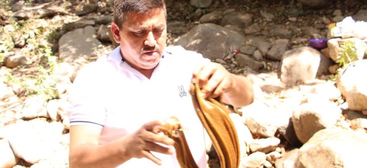 Luciernaga noticias | Tradición y sabor en...