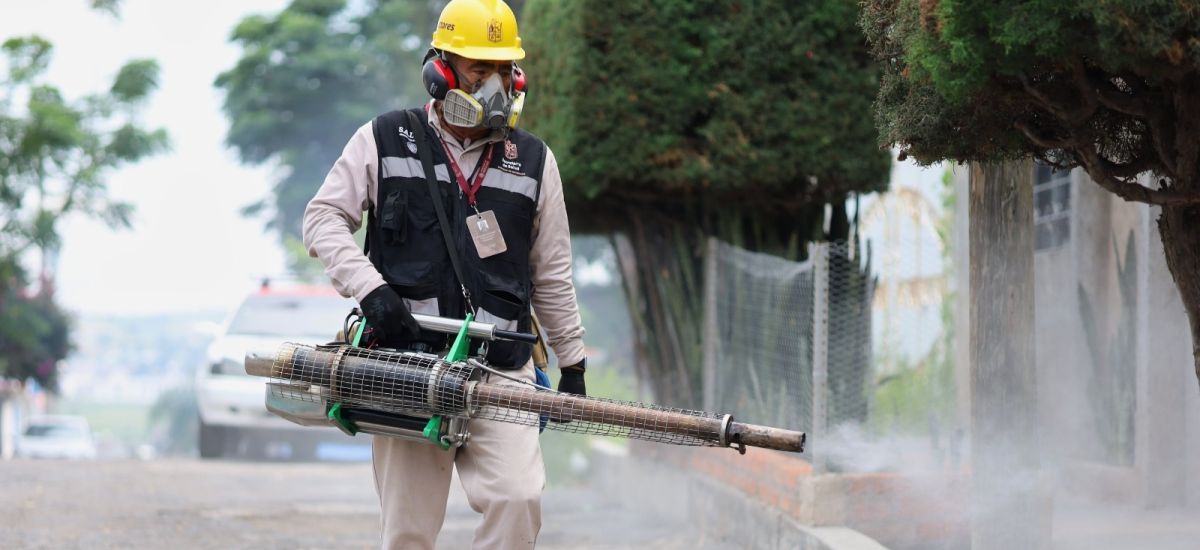 Luciernaga noticias | SSM llama a no bajar...